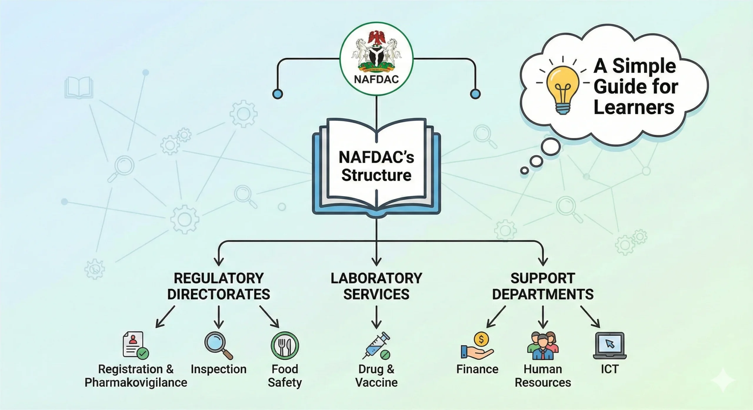 Understanding NAFDAC's Structure: A Simple Guide for Learners