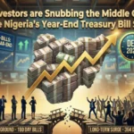 Why Investors are Snubbing the Middle Ground: Inside Nigeria's Year-End Treasury Bill Surge